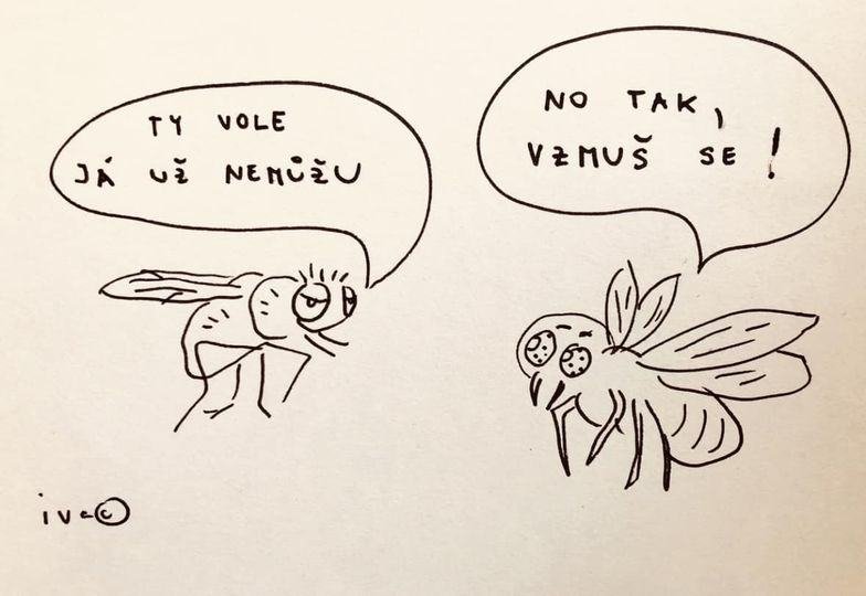 kliknutím fotku zvětšíte