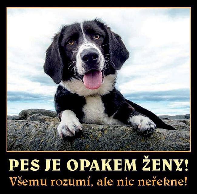 kliknutím fotku zvětšíte
