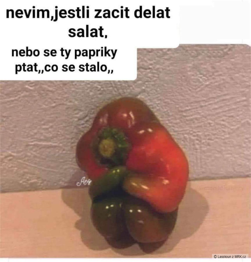 kliknutím fotku zvětšíte