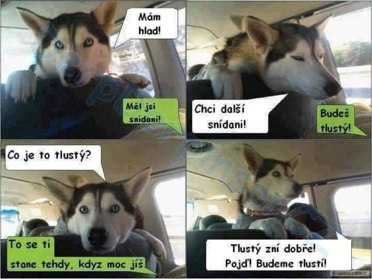 kliknutím fotku zvětšíte