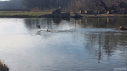 kliknutím fotku zvětšíte