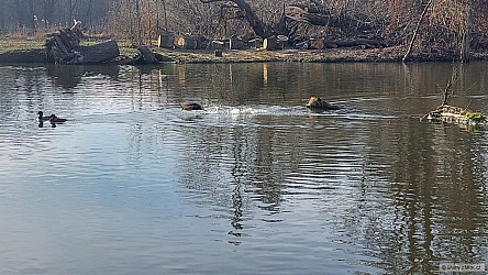 kliknutím fotku zvětšíte