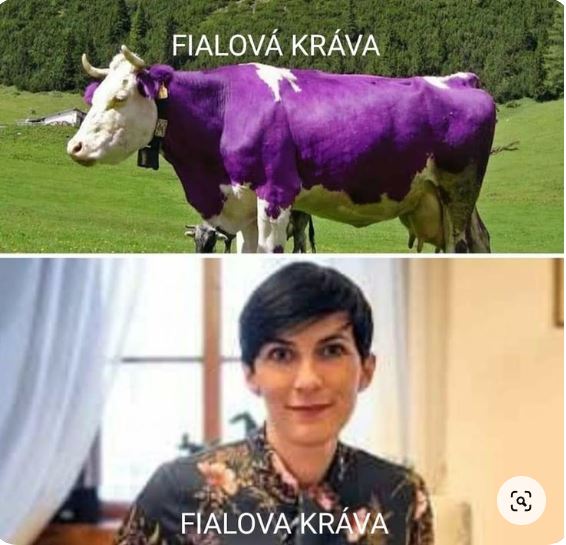 kliknutím fotku zvětšíte