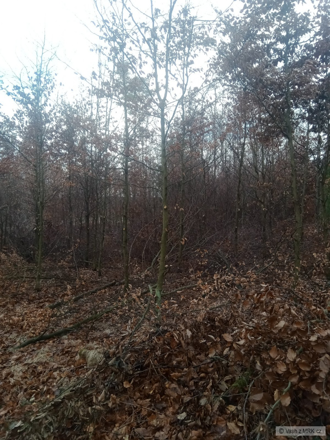 kliknutím fotku zvětšíte