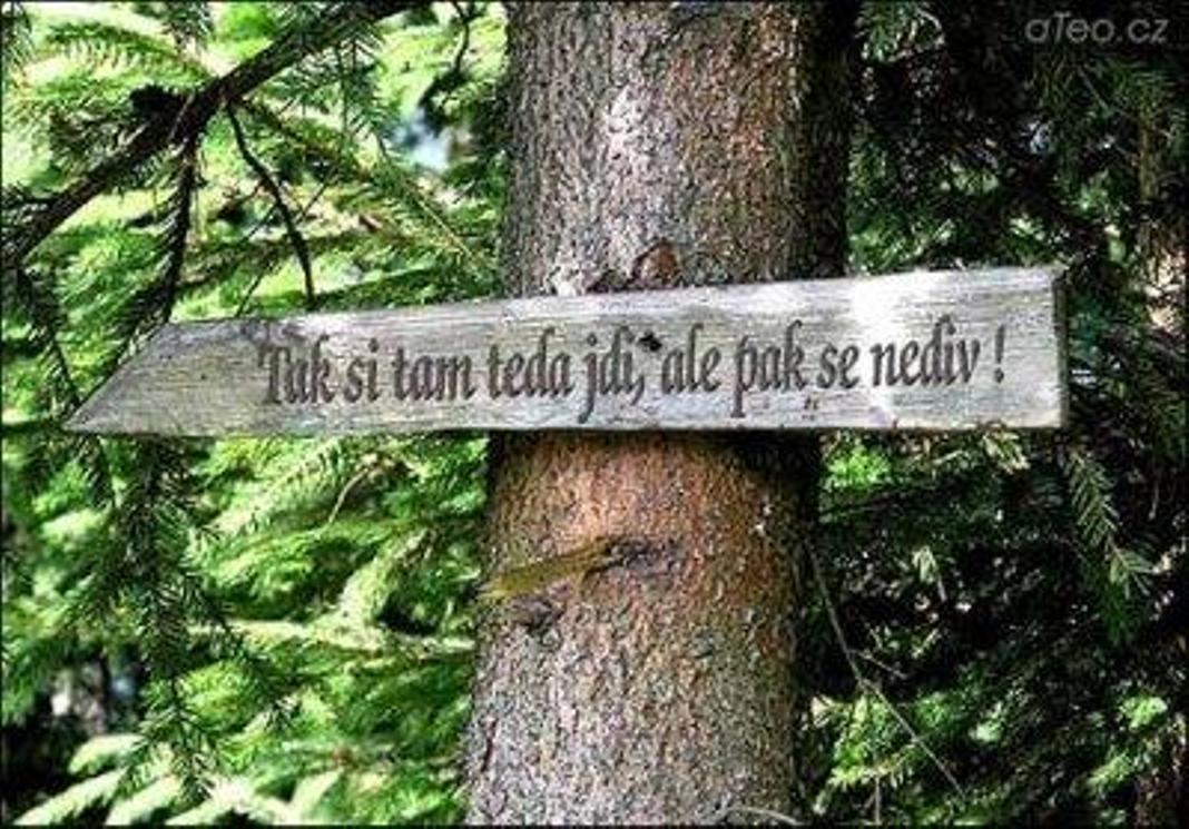 kliknutím fotku zvětšíte