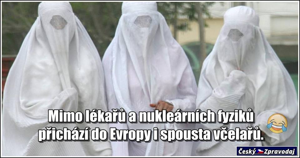 kliknutím fotku zvětšíte