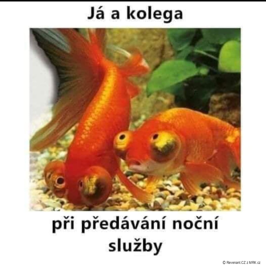 kliknutím fotku zvětšíte
