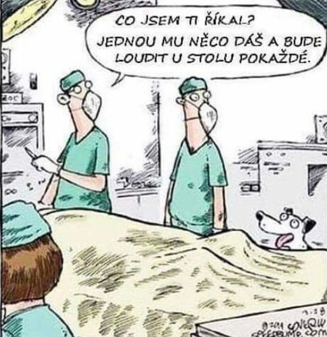 kliknutím fotku zvětšíte