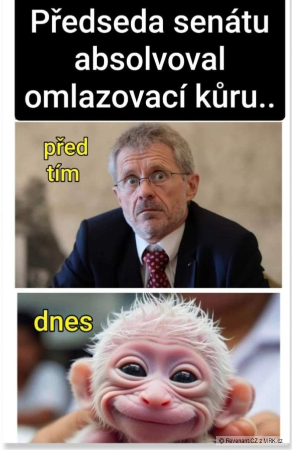 kliknutím fotku zvětšíte