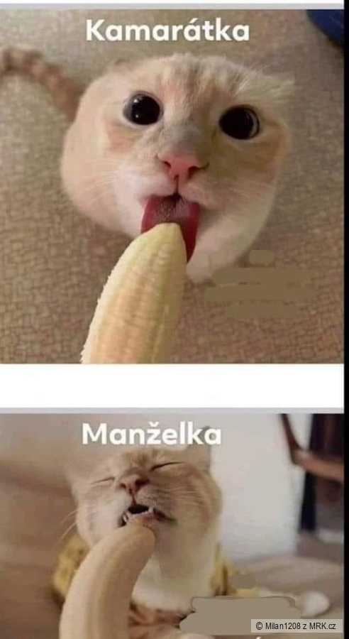 kliknutím fotku zvětšíte
