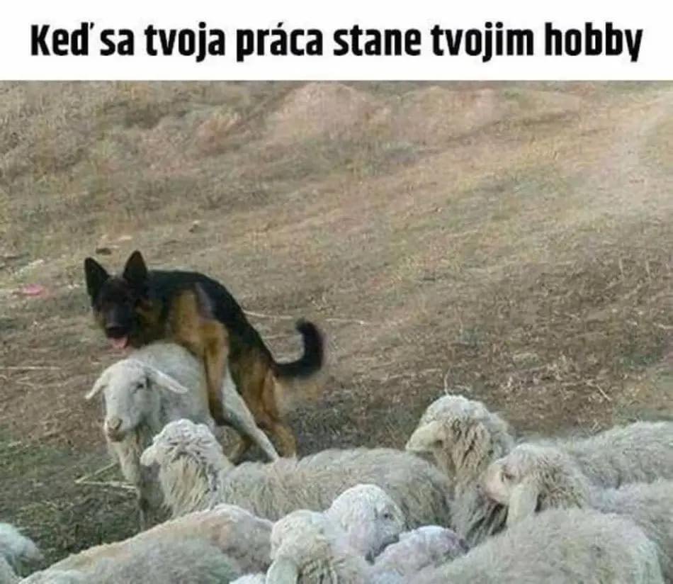 kliknutím fotku zvětšíte