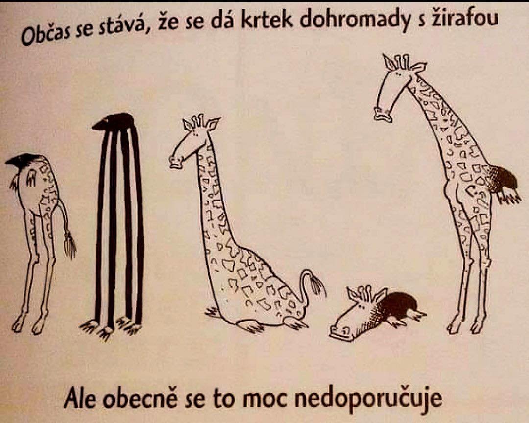 kliknutím fotku zvětšíte