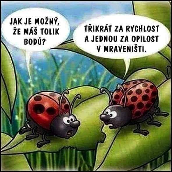 kliknutím fotku zvětšíte