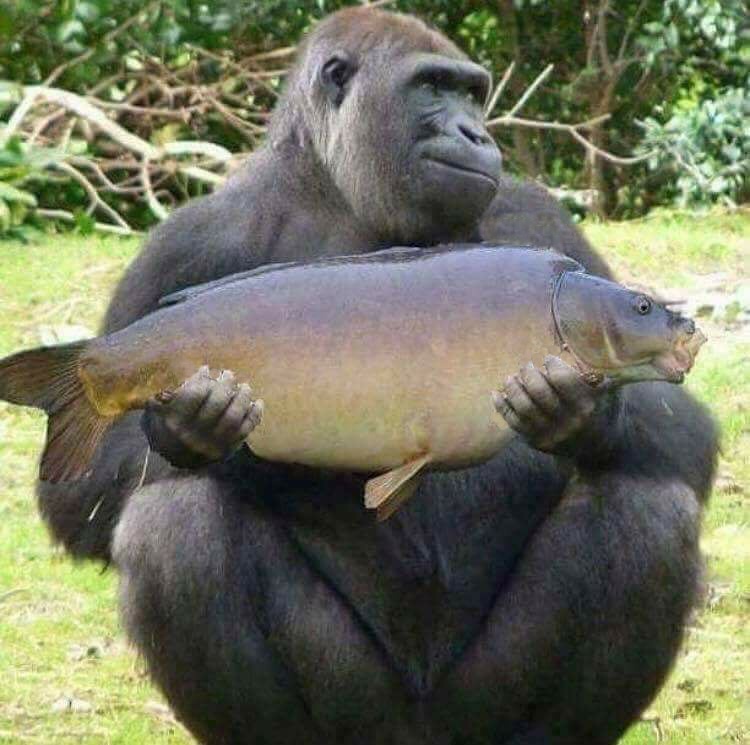 kliknutím fotku zvětšíte