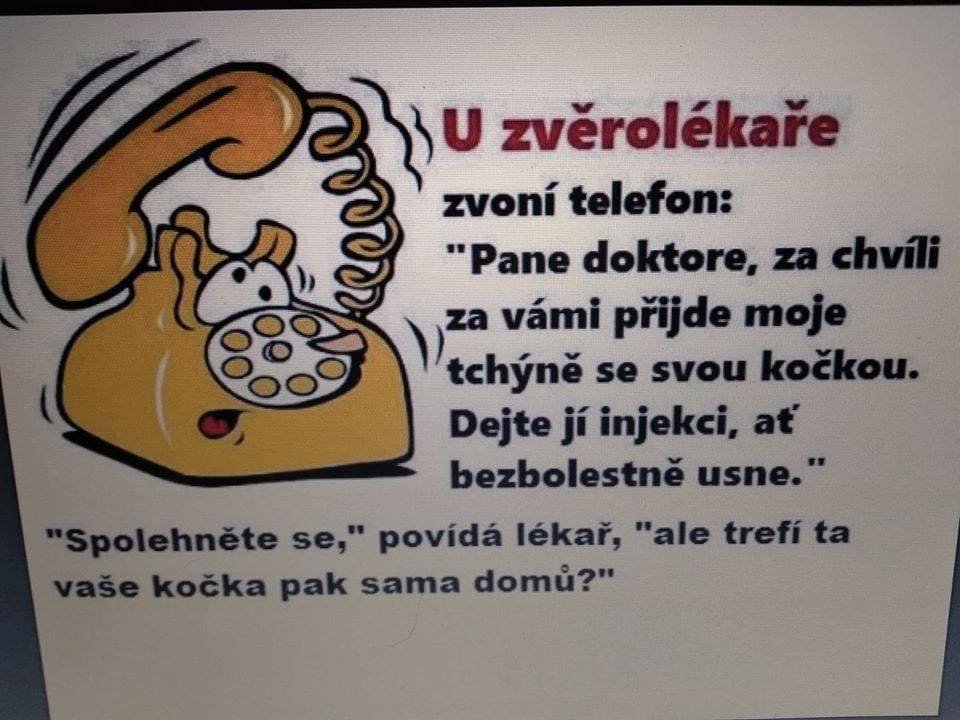 kliknutím fotku zvětšíte