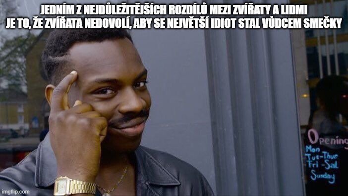 kliknutím fotku zvětšíte