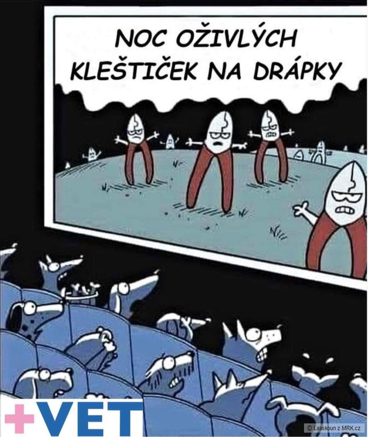 kliknutím fotku zvětšíte