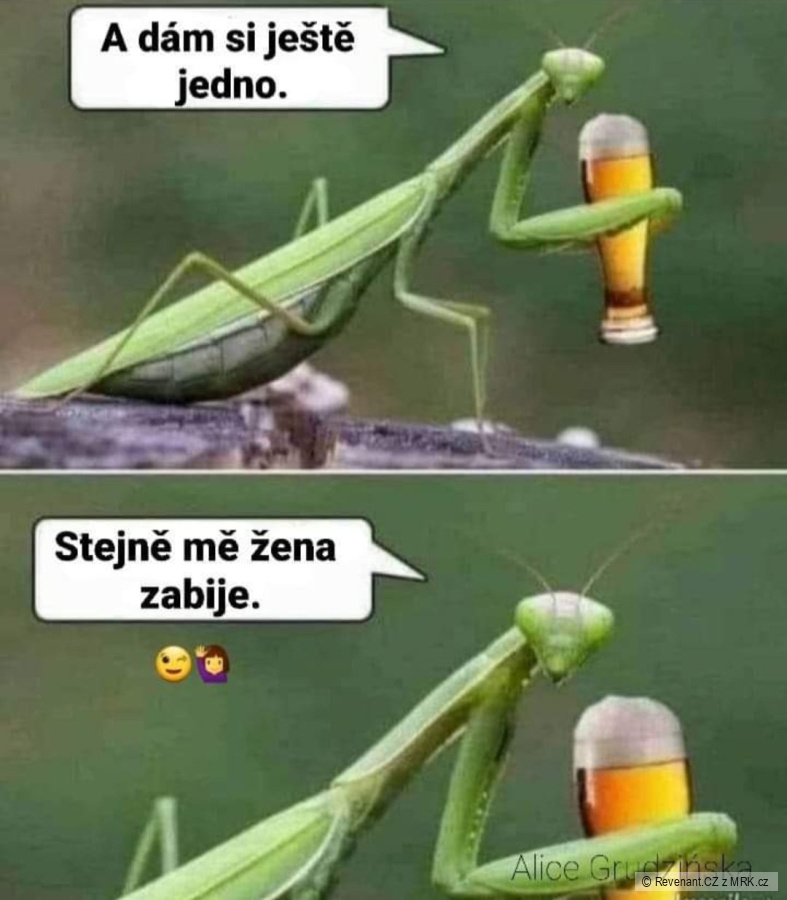 kliknutím fotku zvětšíte