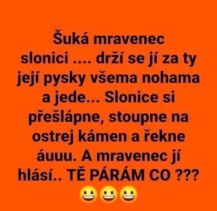 kliknutím fotku zvětšíte