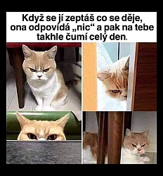 kliknutím fotku zvětšíte
