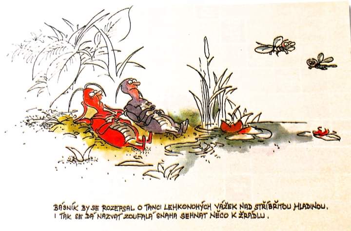 kliknutím fotku zvětšíte