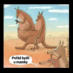 kliknutím fotku zvětšíte