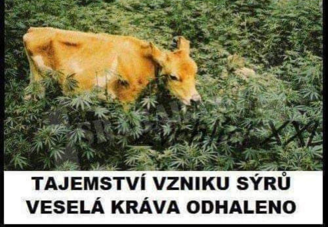 kliknutím fotku zvětšíte