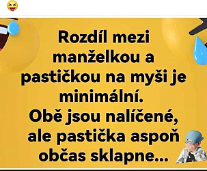 kliknutím fotku zvětšíte