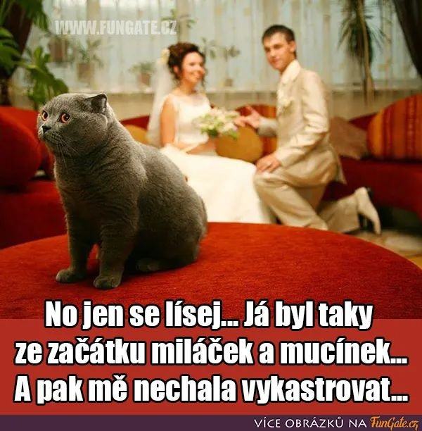 kliknutím fotku zvětšíte
