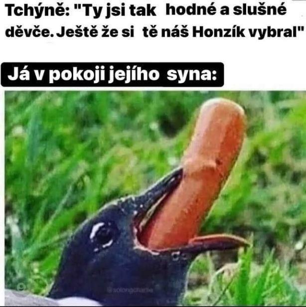 kliknutím fotku zvětšíte