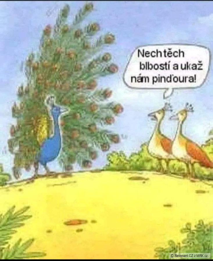 kliknutím fotku zvětšíte