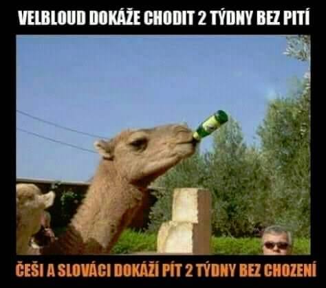 kliknutím fotku zvětšíte