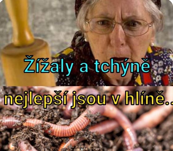 kliknutím fotku zvětšíte
