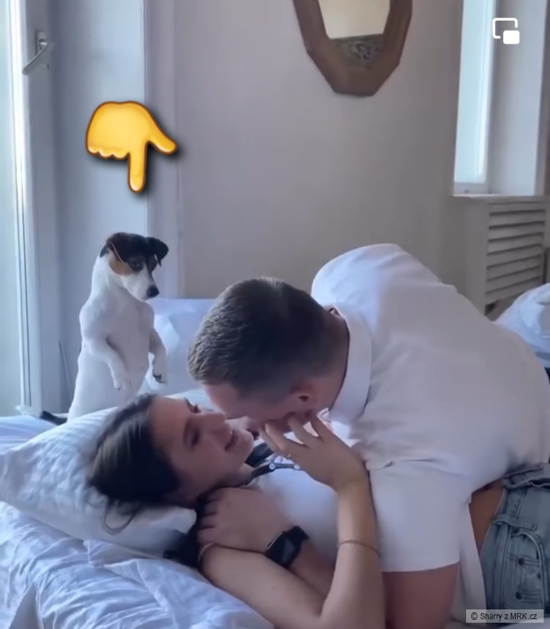 kliknutím fotku zvětšíte
