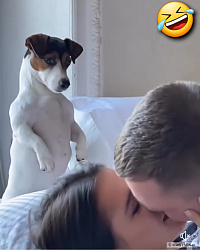 kliknutím fotku zvětšíte