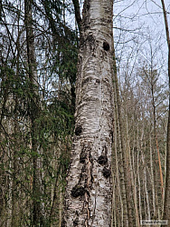 kliknutím fotku zvětšíte
