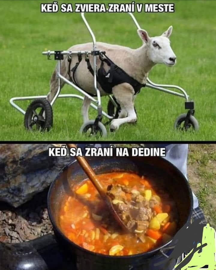 kliknutím fotku zvětšíte