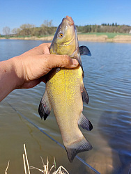 kliknutím fotku zvětšíte