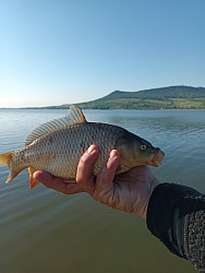 kliknutím fotku zvětšíte