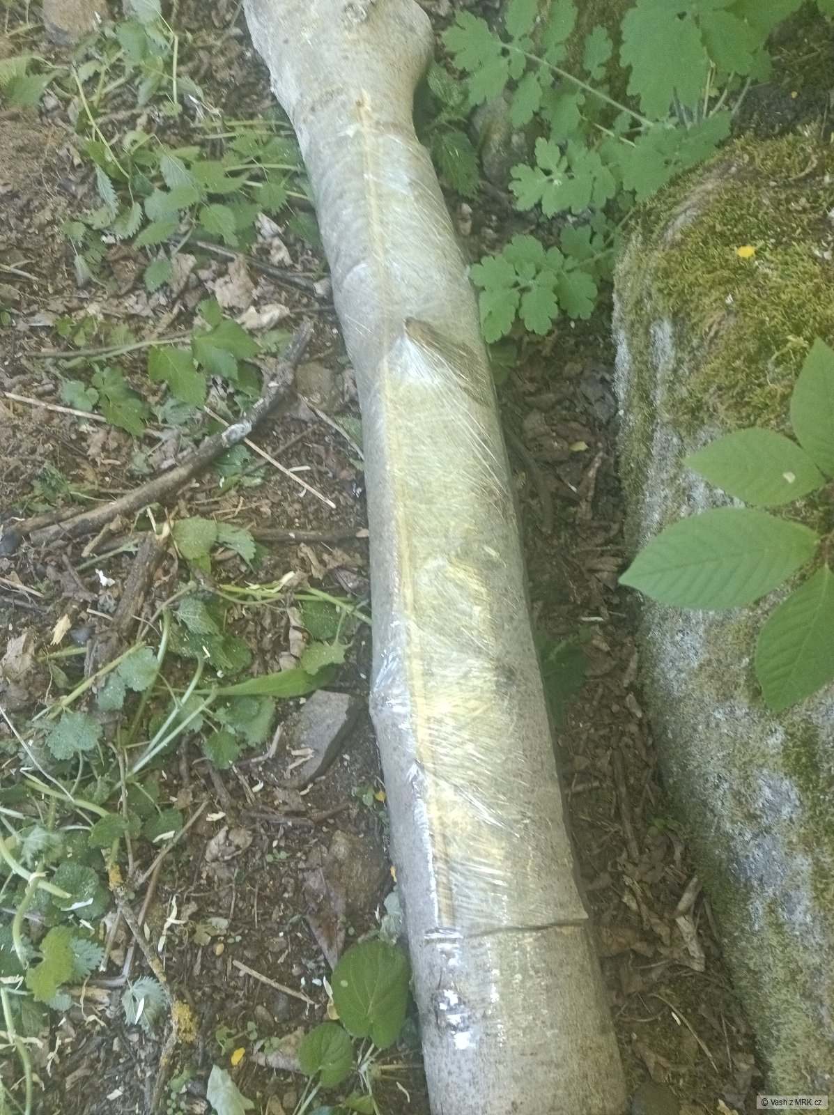 kliknutím fotku zvětšíte