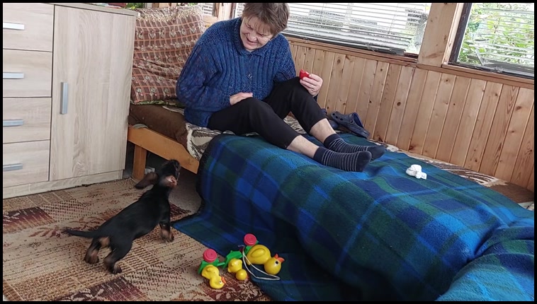 Video Thumbnail