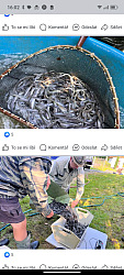 kliknutím fotku zvětšíte