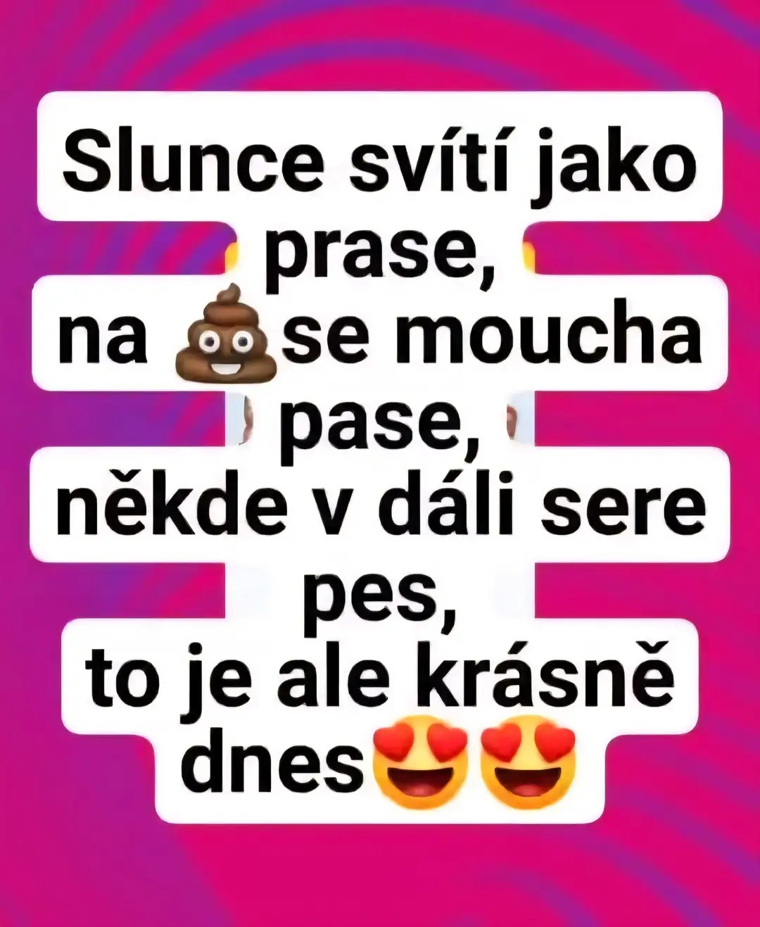 kliknutím fotku zvětšíte
