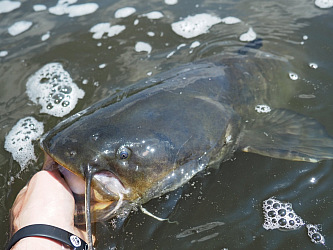 kliknutím fotku zvětšíte