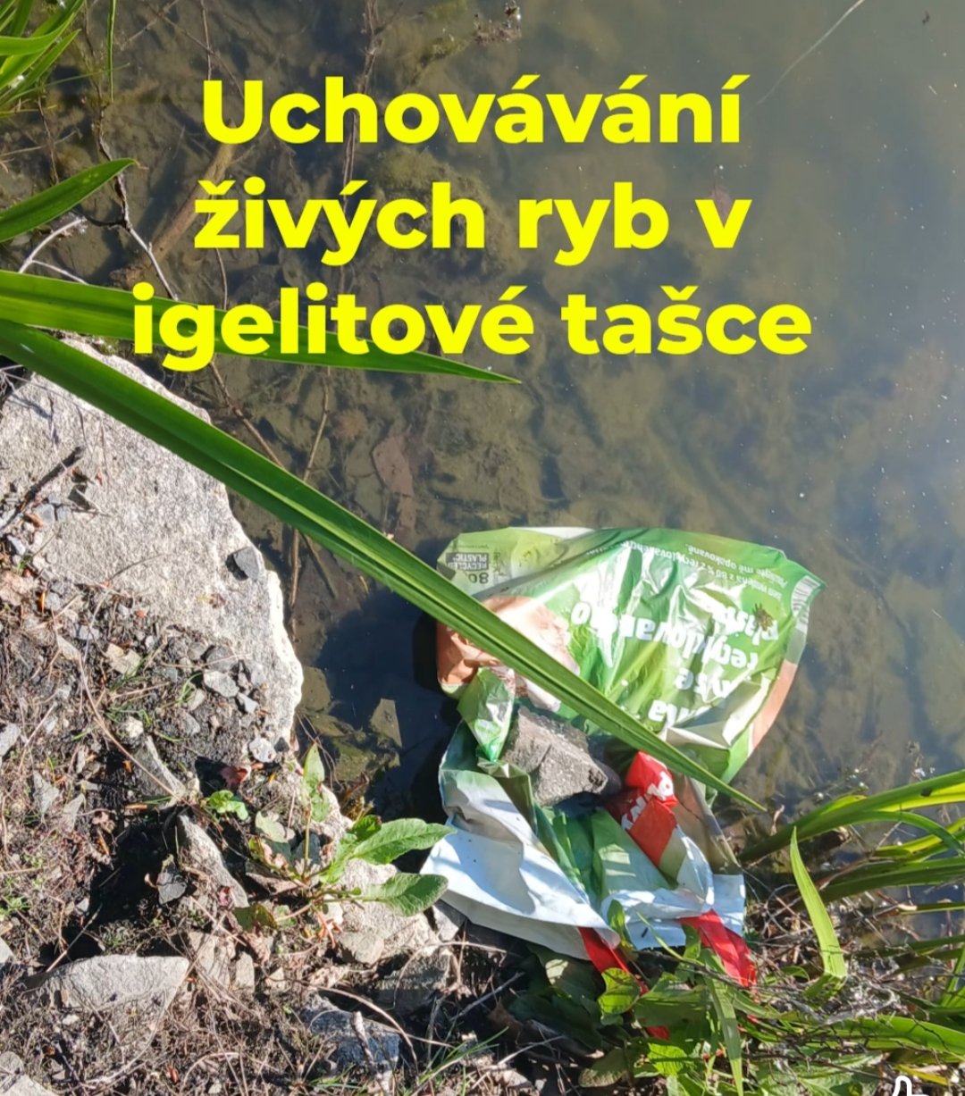 kliknutím fotku zvětšíte