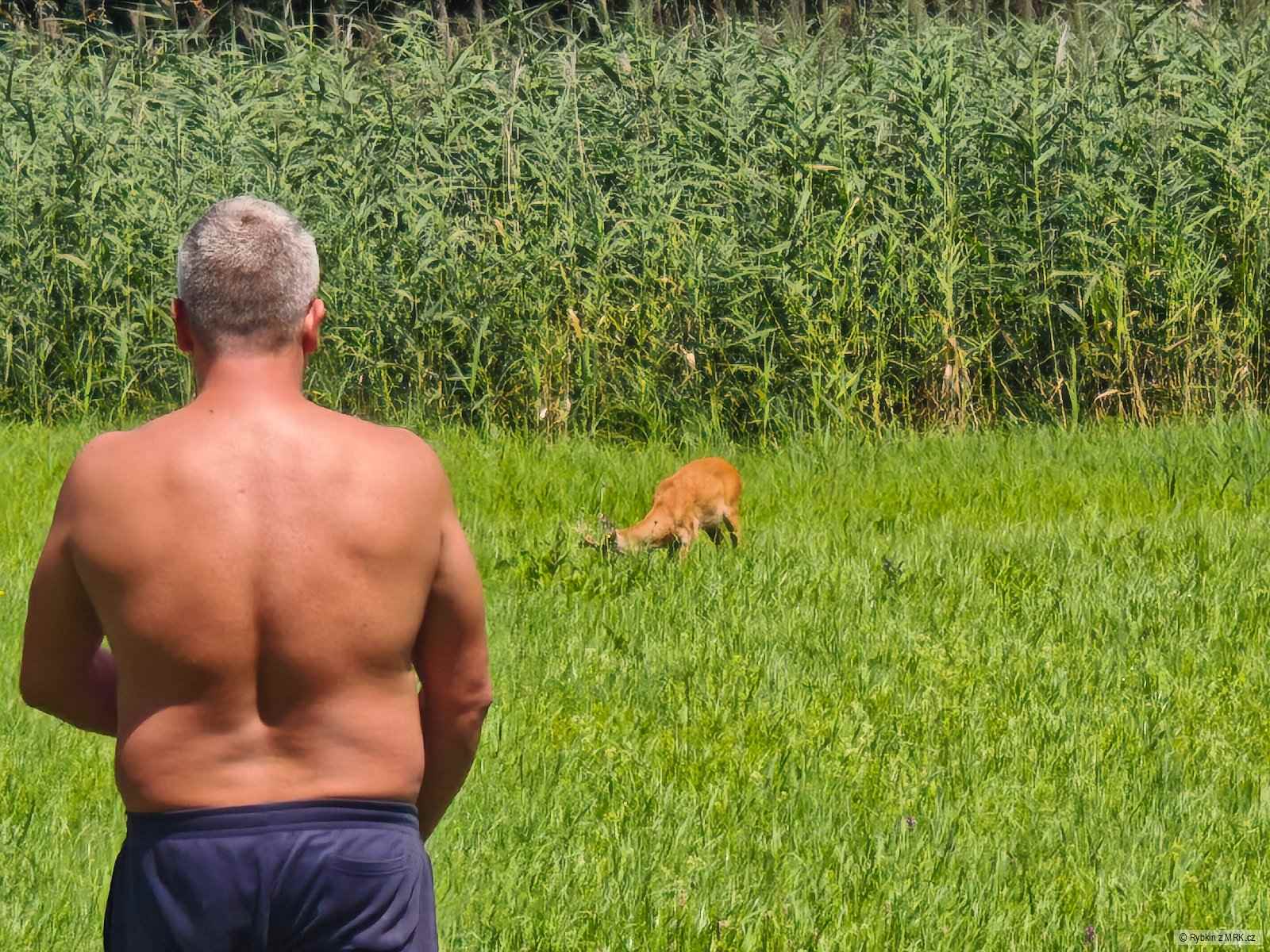 kliknutím fotku zvětšíte