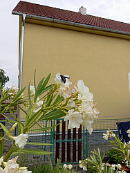 kliknutím fotku zvětšíte