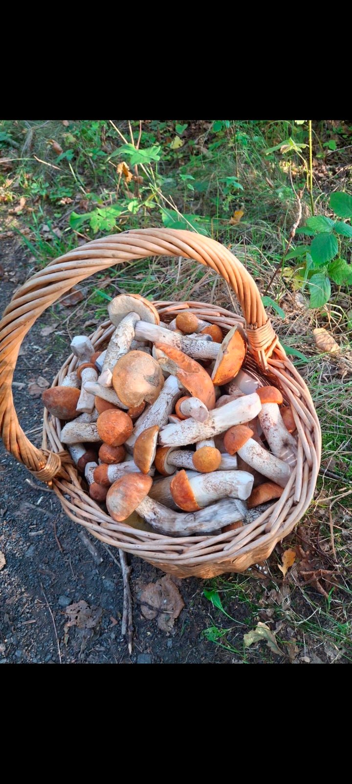 kliknutím fotku zvětšíte