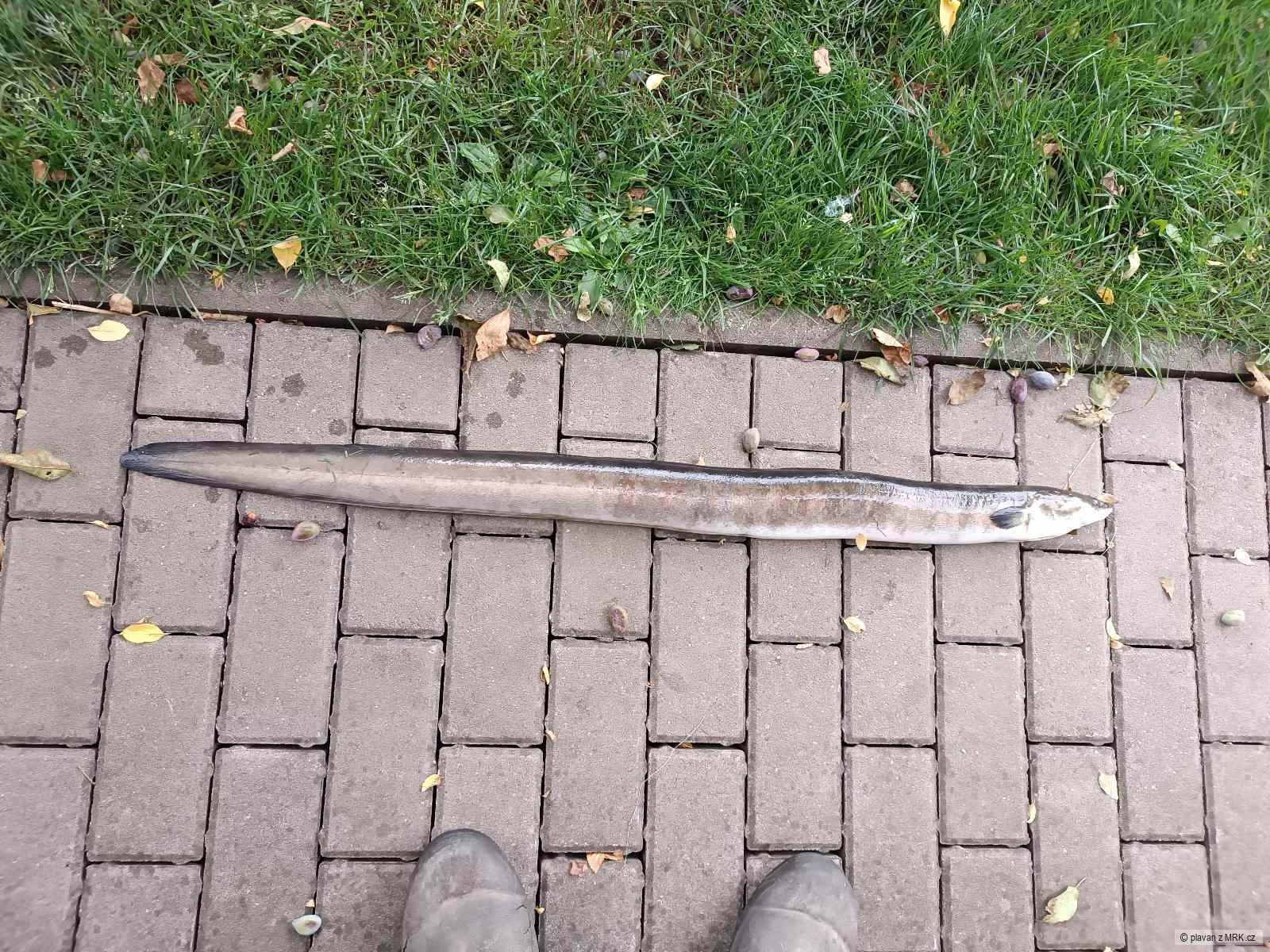kliknutím fotku zvětšíte