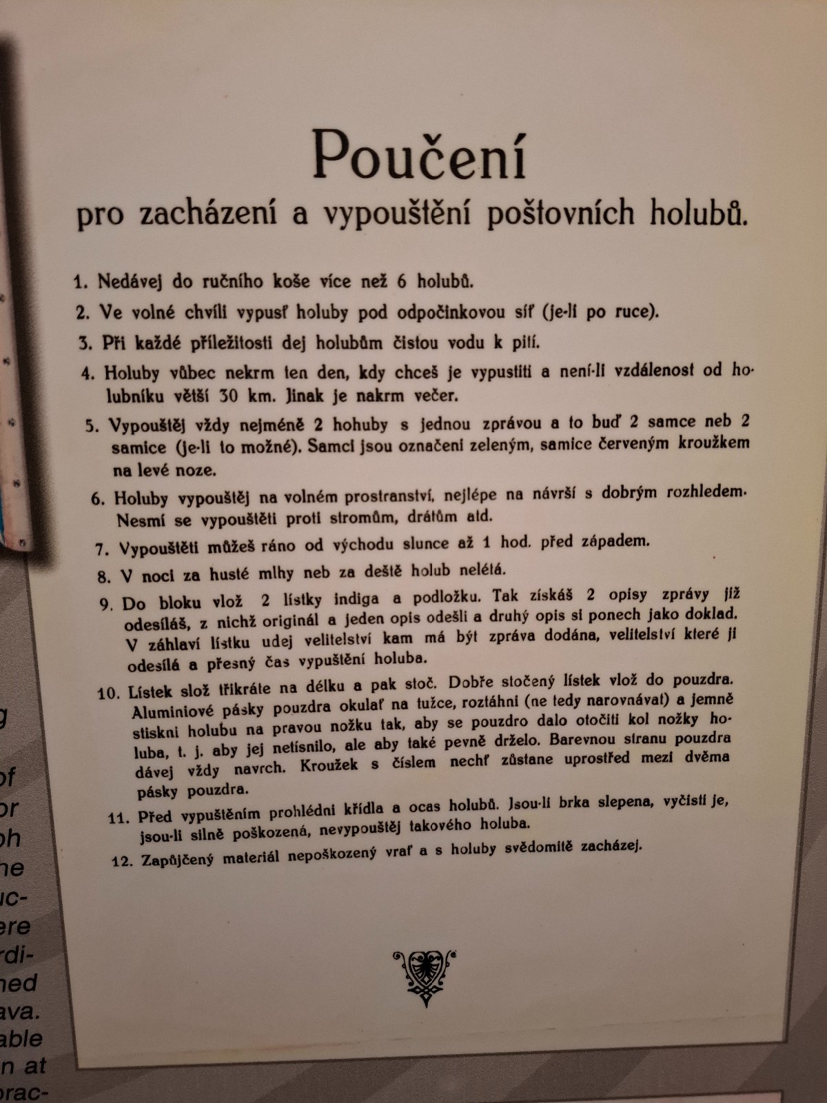 kliknutím fotku zvětšíte